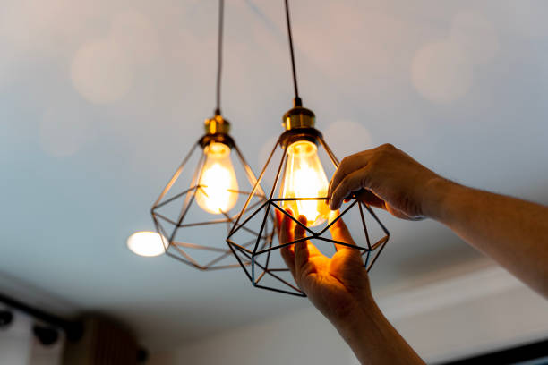 Best Electric Panel Repair  in White House, TN